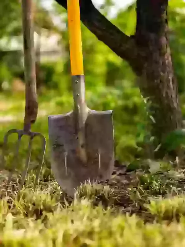 A Careful and Respectful Approach